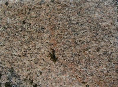 gneisiger Granit