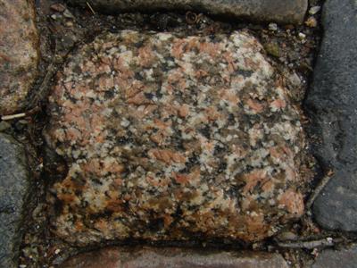 grobkörniger Granit