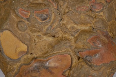 Brauneisenkrusten auf eozänem Ton, Ausschnitt