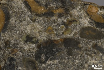 Flintkonglomerat Detail