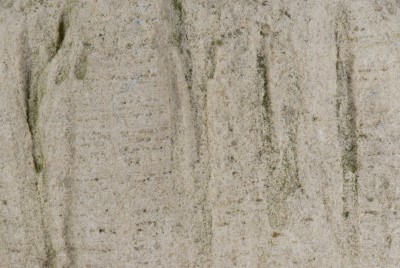 weißer Skolithos-Sandstein Detail