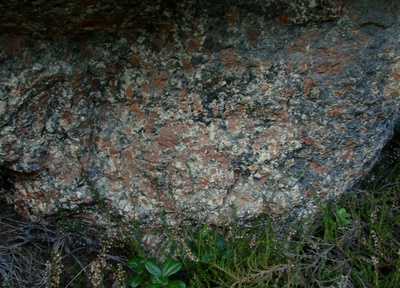 gneisiger Askersund-Granit