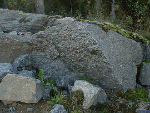 grobkörniger Sjögeras-Granit
