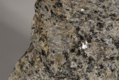 Granodiorit südlich Filipstad Megakristall