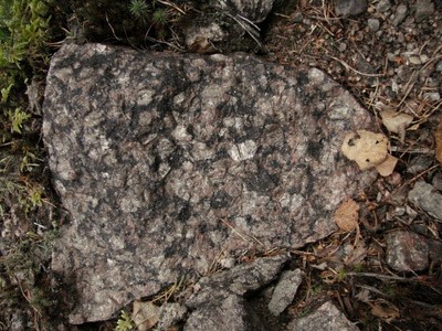 Filipstad-Granit anstehend