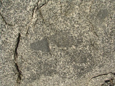 Xenolithe im Granodiorit