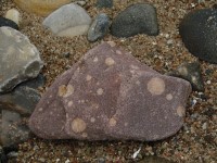 Jotnischer Sandstein